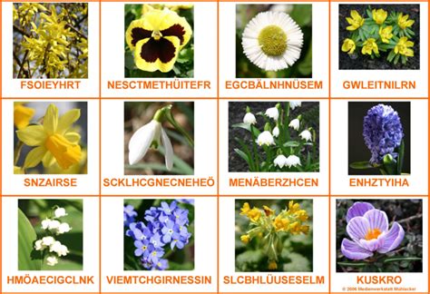 blumensorte|blumennamen liste.